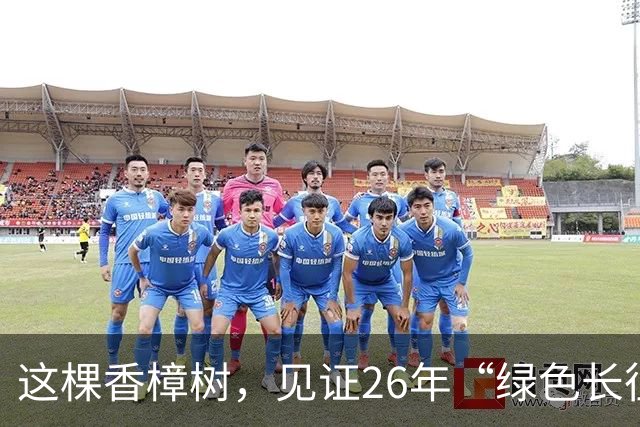 这棵香樟树，见证26年“绿色长征”